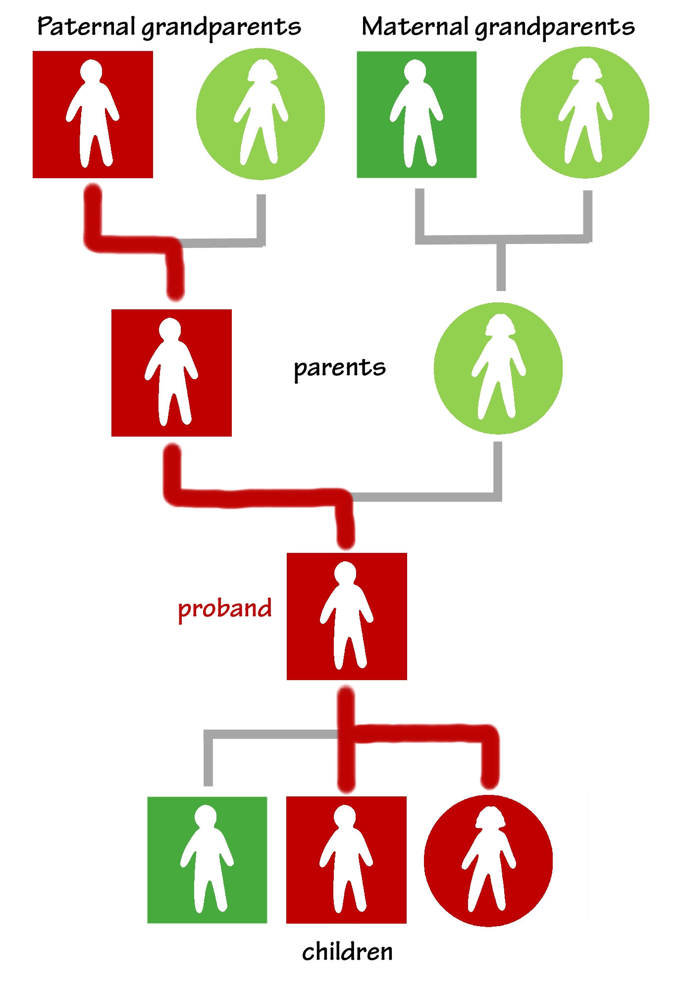 proband-grandparents