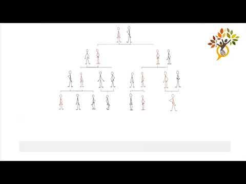 This is the image for the 'undefined' entry