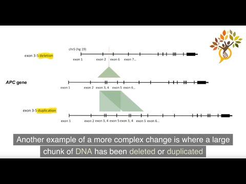 This is the image for the 'undefined' entry